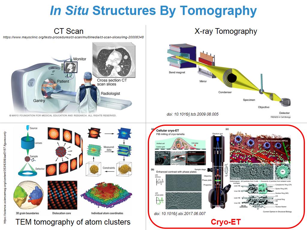 In Situ Structures By Tomography