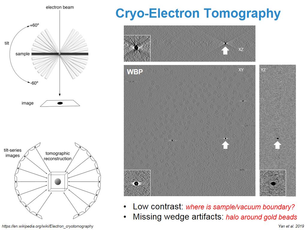 Cryo-Electron Tomography
