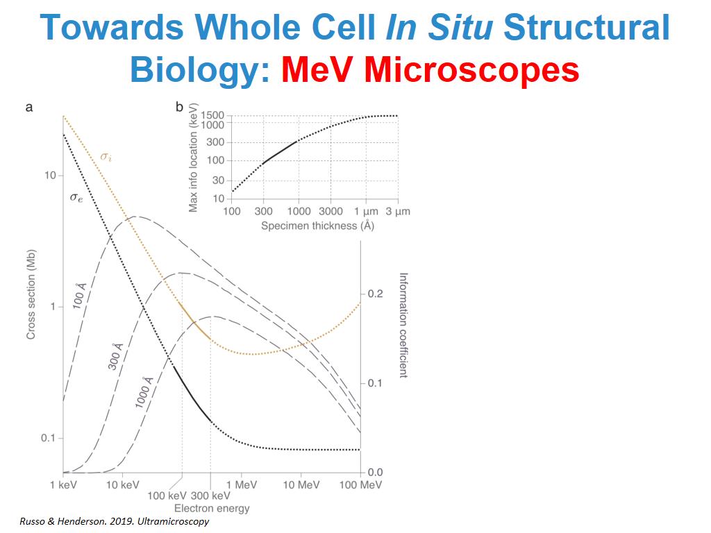 Towards Whole Cell In Situ Structural Biology