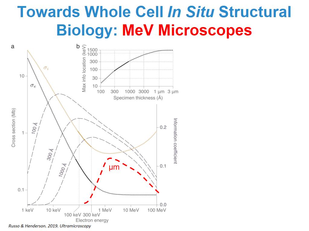 Towards Whole Cell In Situ Structural Biology
