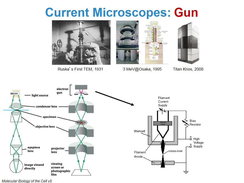Current Microscopes: Gun