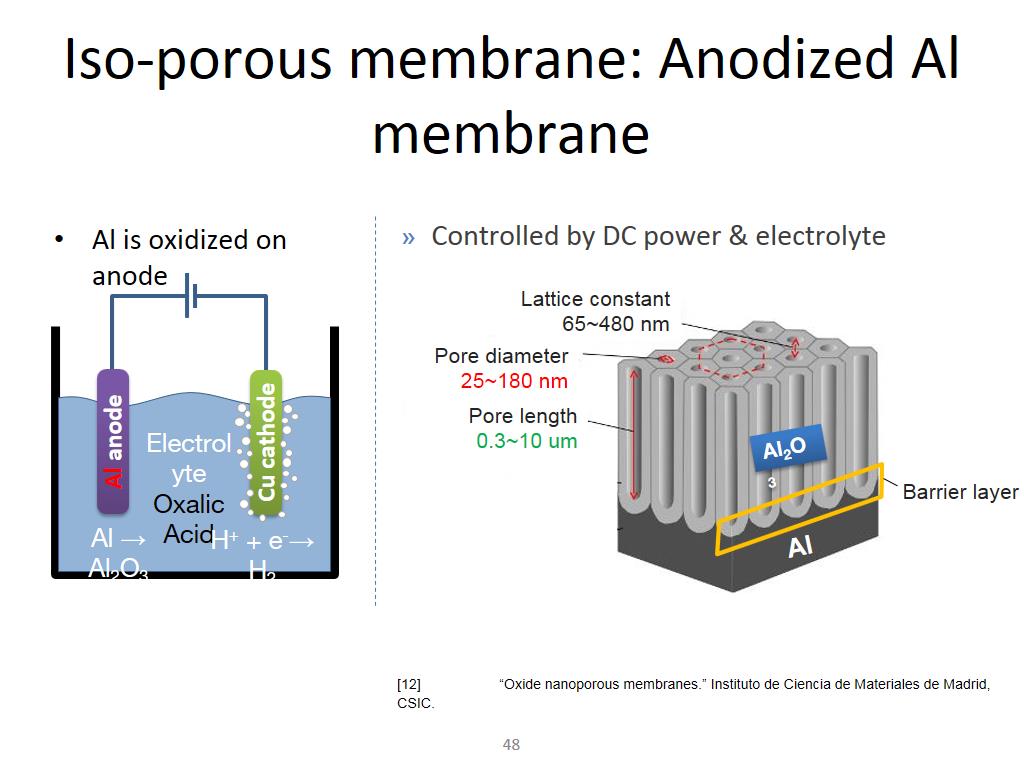 Iso-porous membrane: Anodized Al membrane
