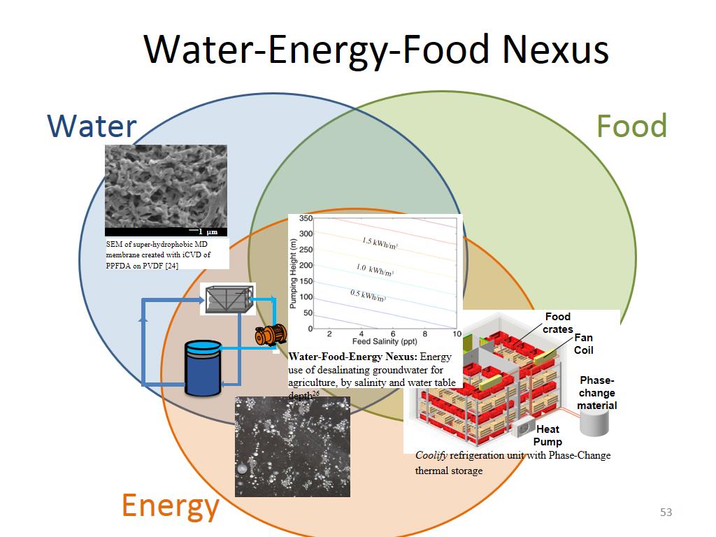 Water-Energy-Food Nexus