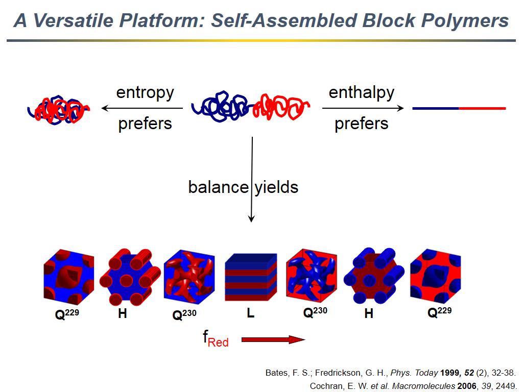 A Versatile Platform: Self-Assembled Block Polymers
