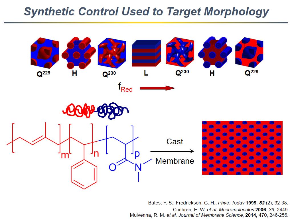 Synthetic Control Used to Target Morphology