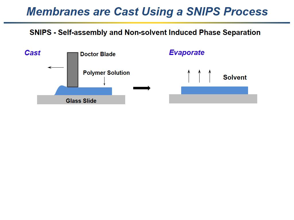 Membranes are Cast Using a SNIPS Process