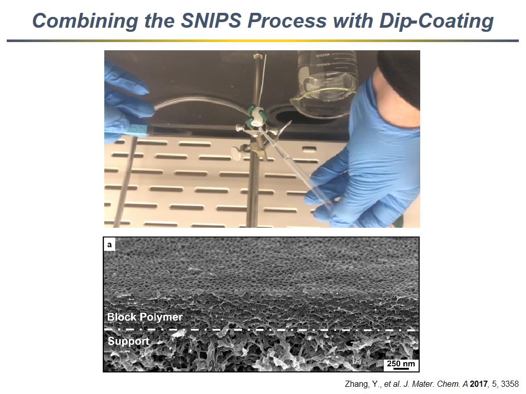 Combining the SNIPS Process with Dip-Coating