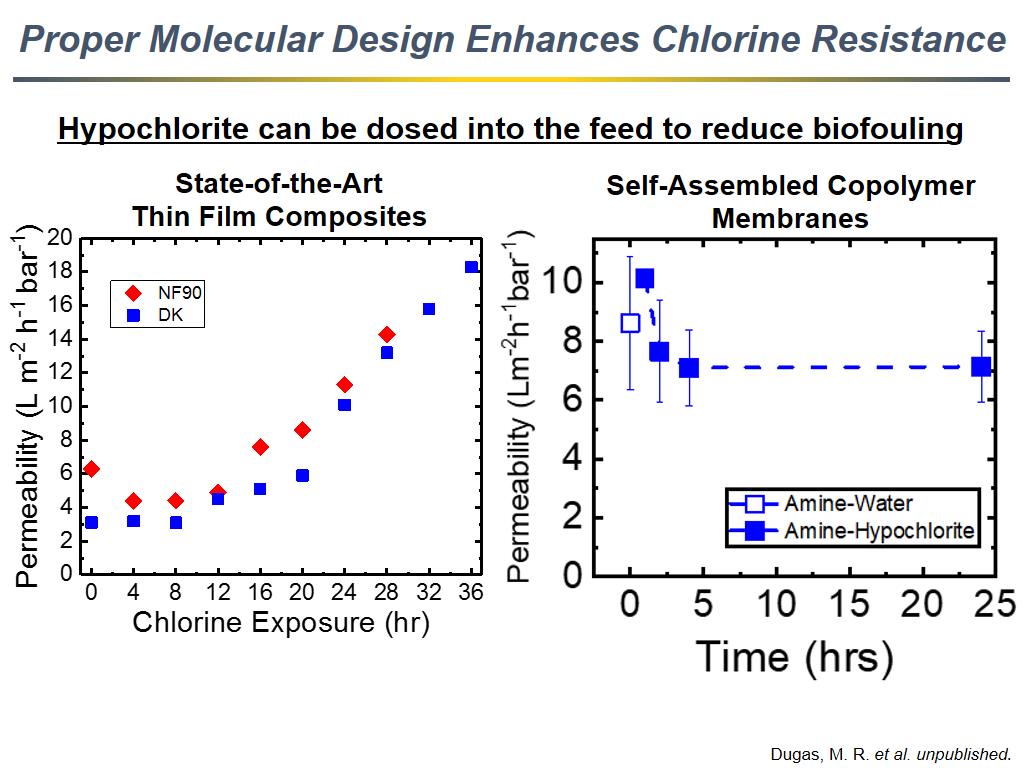 Proper Molecular Design Enhances Chlorine Resistance