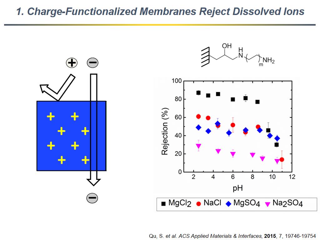 1. Charge-Functionalized Membranes Reject Dissolved Ions