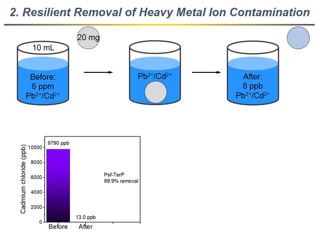 2. Resilient Removal of Heavy Metal Ion Contamination