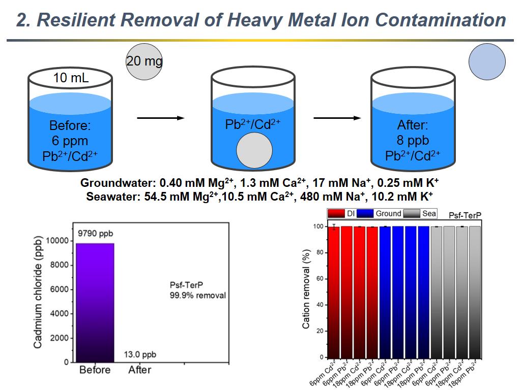 2. Resilient Removal of Heavy Metal Ion Contamination