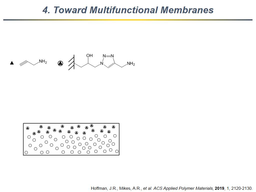 4. Toward Multifunctional Membranes