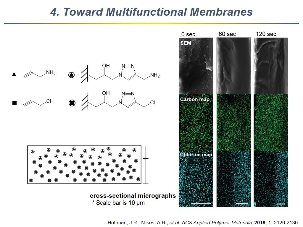 4. Toward Multifunctional Membranes