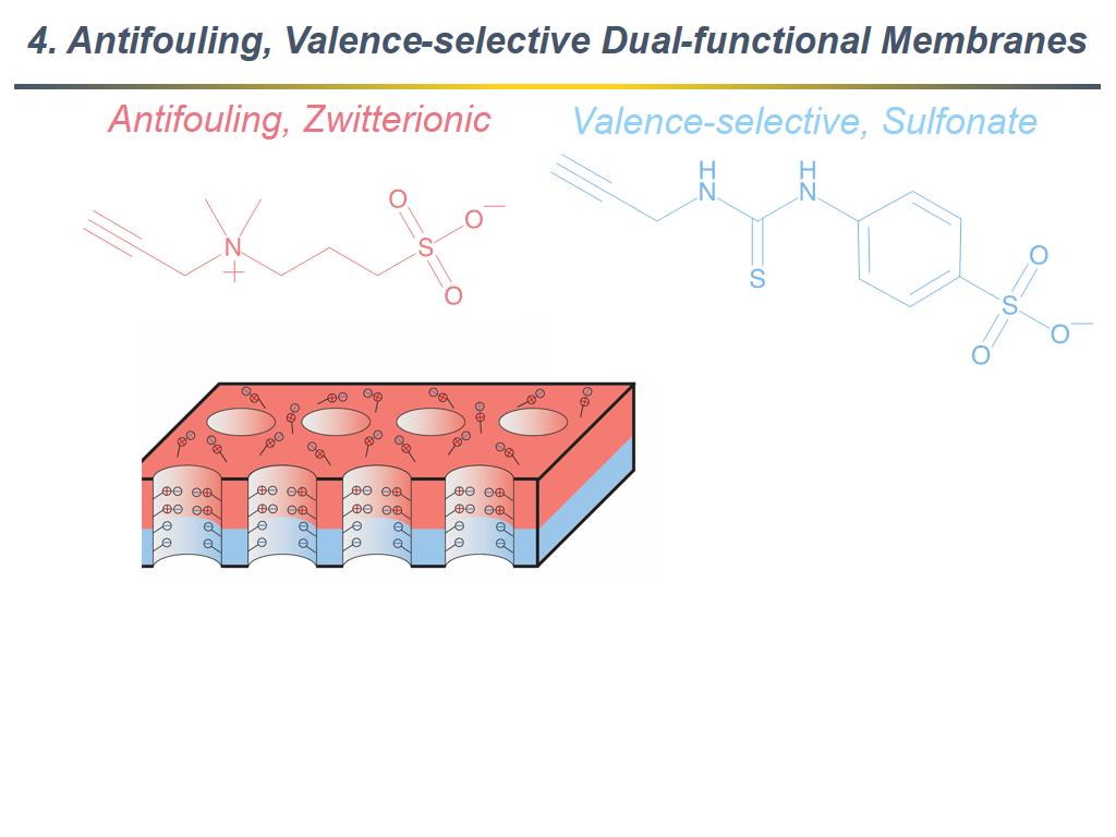 4. Antifouling, Valence-selective Dual-functional Membranes