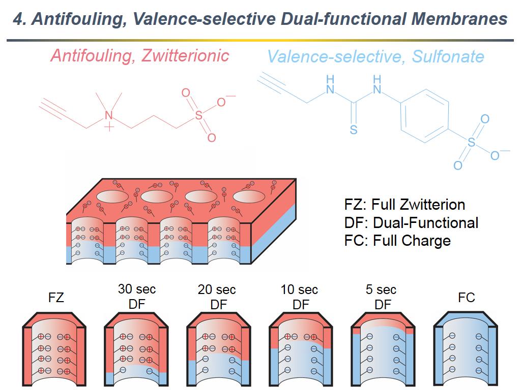 4. Antifouling, Valence-selective Dual-functional Membranes