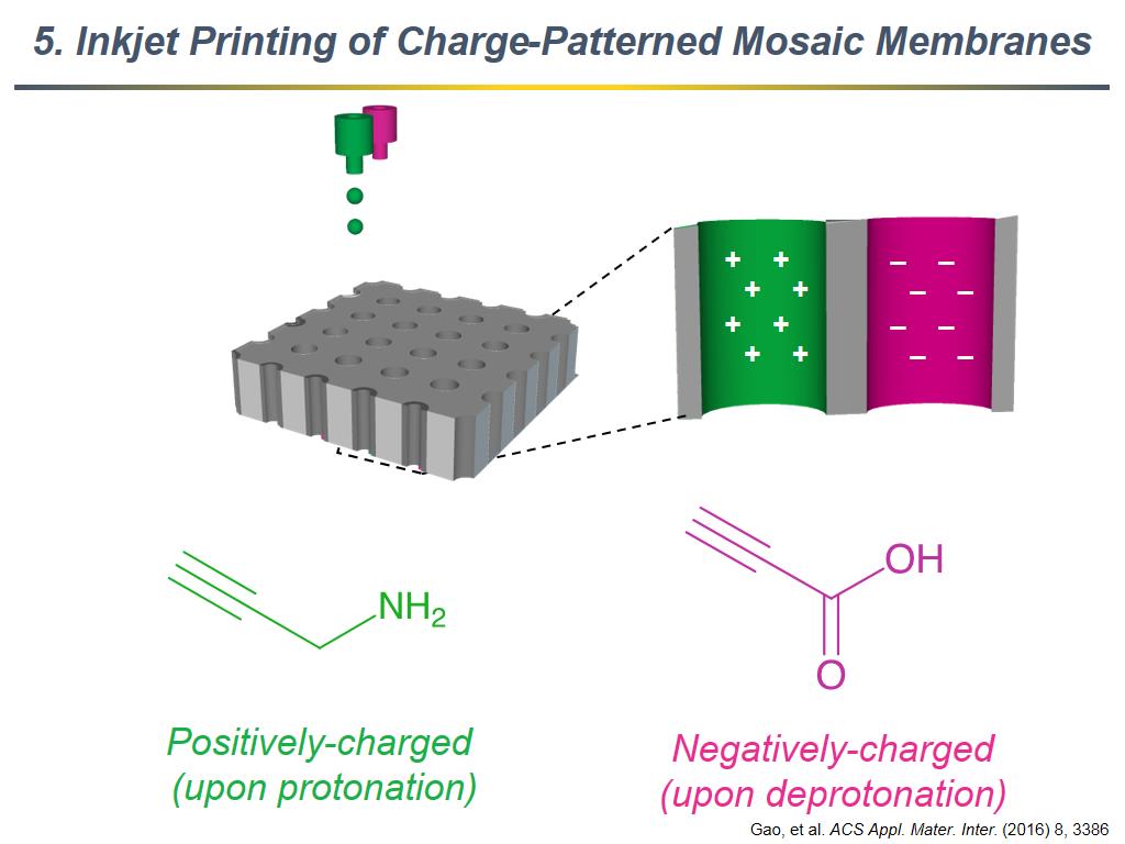 5. Inkjet Printing of Charge-Patterned Mosaic Membranes