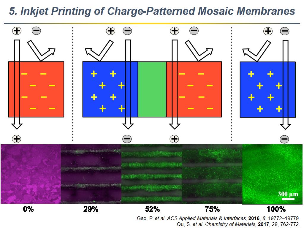 5. Inkjet Printing of Charge-Patterned Mosaic Membranes