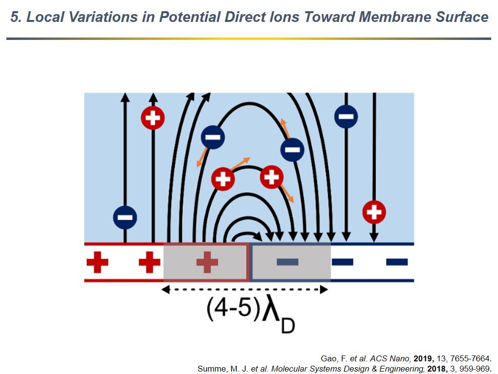 5. Local Variations in Potential Direct Ions Toward Membrane Surface