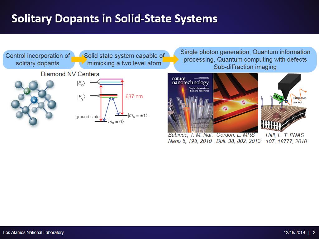Solitary Dopants in Solid-State Systems