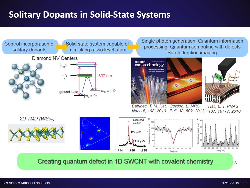 Solitary Dopants in Solid-State Systems