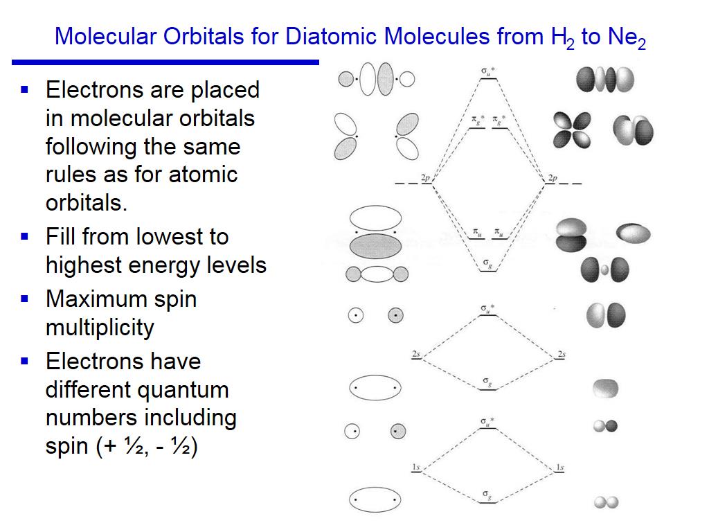 Molecular Orbitals for Diatomic Molecules from H2 to Ne2