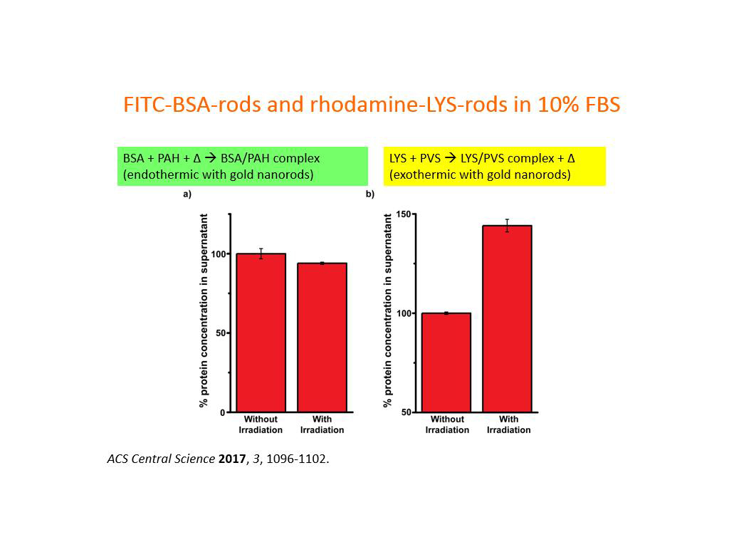 FITC-BSA-rods and rhodamine-LYS-rods in 10% FBS