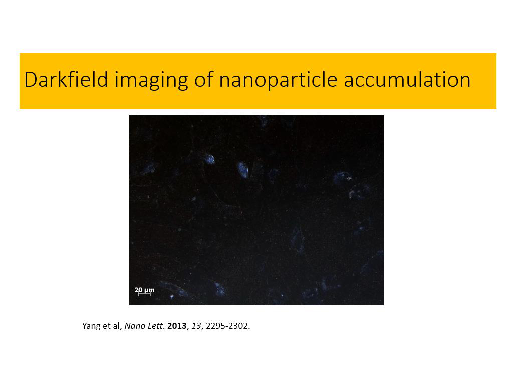 Darkfield imaging of nanoparticle accumulation