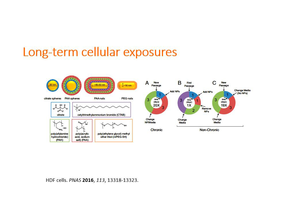 Long-term cellular exposures