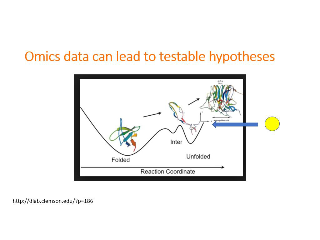Omics data can lead to testable hypotheses