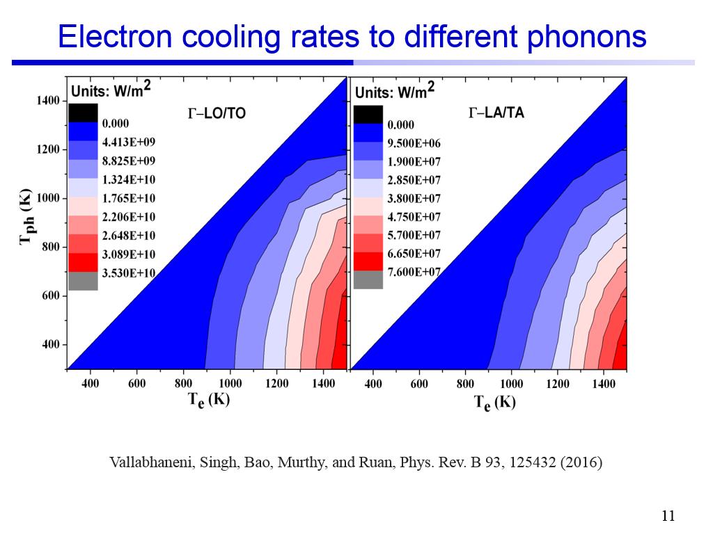 Electron cooling rates to different phonons