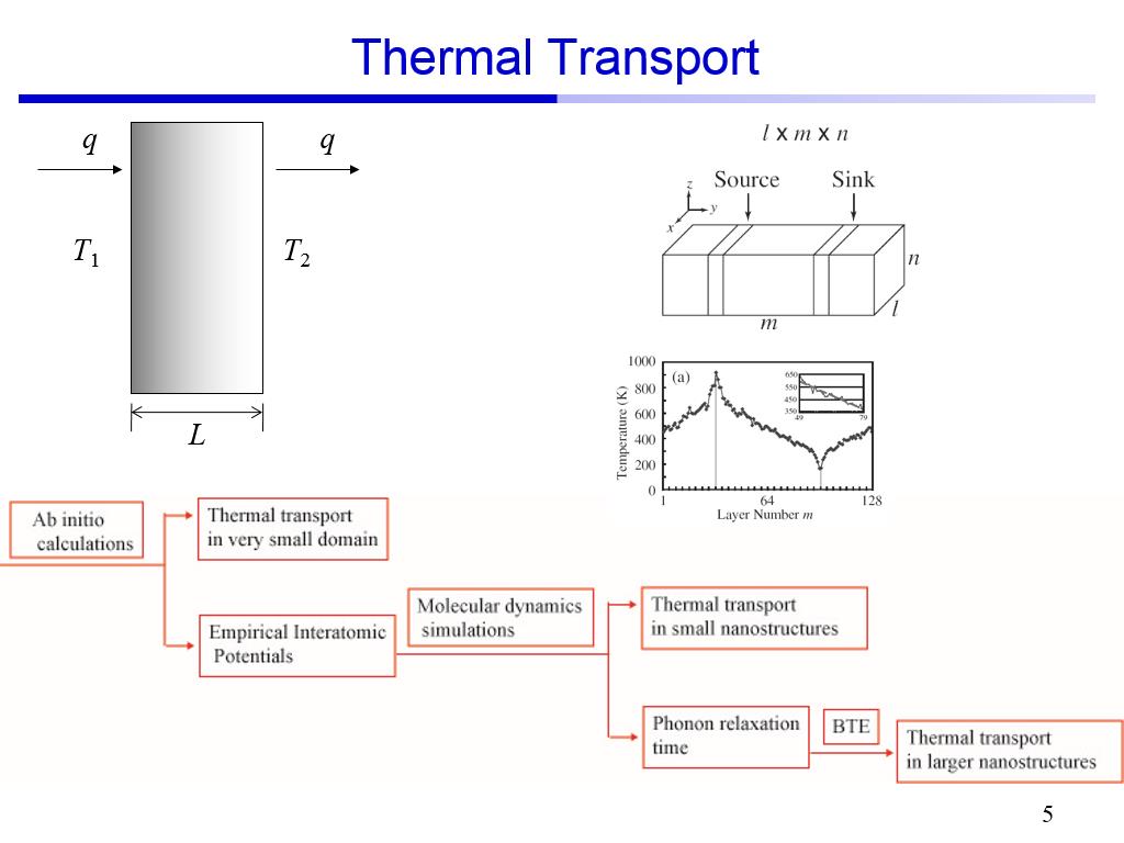 Thermal Transport