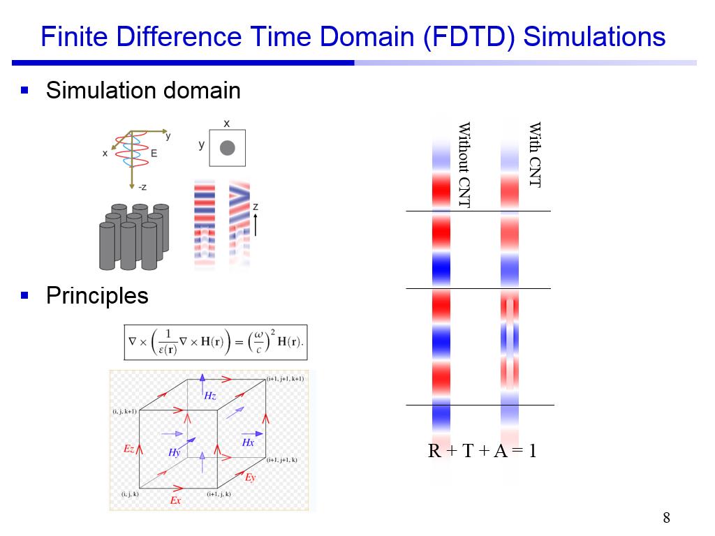 Finite Difference Time Domain (FDTD) Simulations