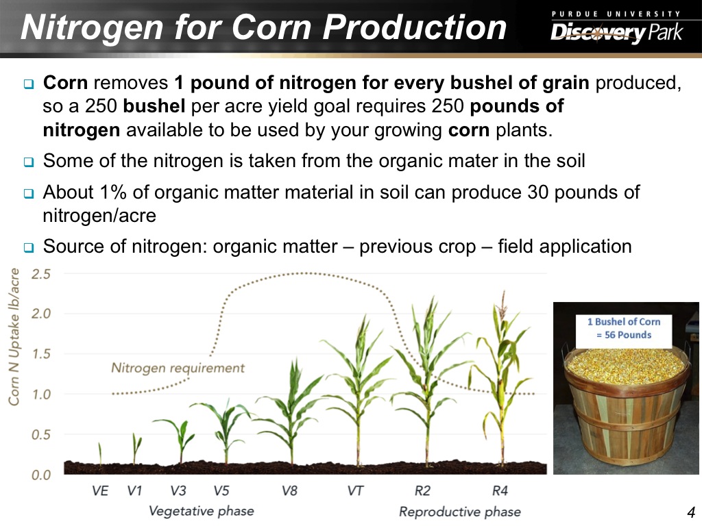 Nitrogen for Corn Production