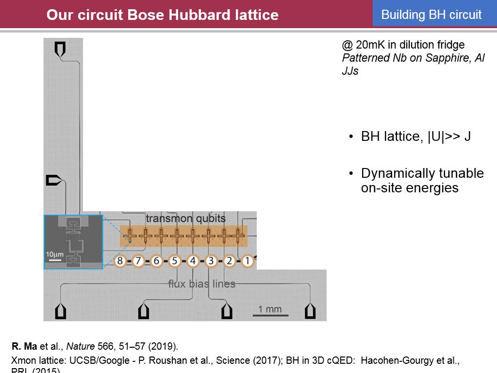 Our circuit Bose Hubbard lattice