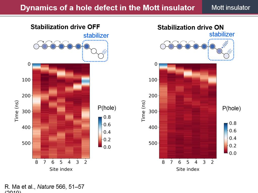 Dynamics of a hole defect in the Mott insulator