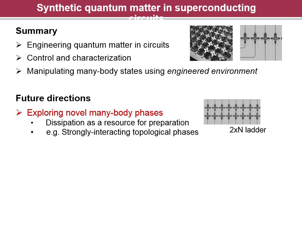 Synthetic quantum matter in superconducting circuits