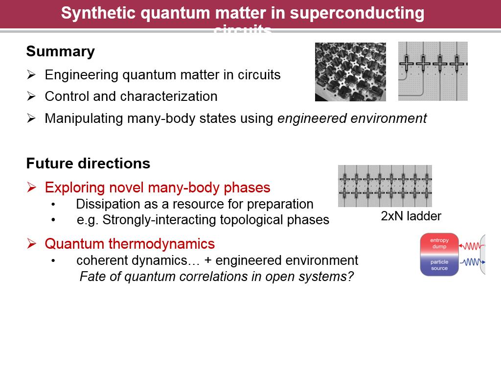 Synthetic quantum matter in superconducting circuits