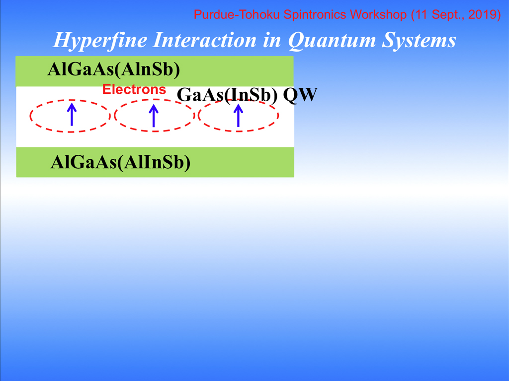 Hyperfine Interaction in Quantum Systems