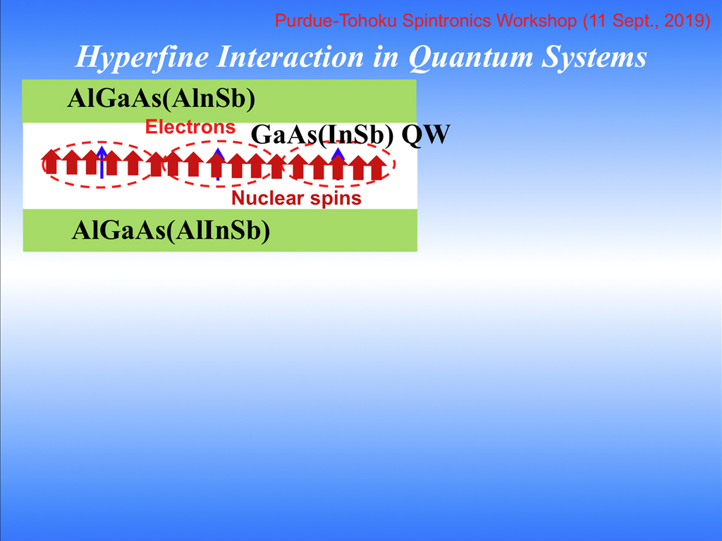 Hyperfine Interaction in Quantum Systems