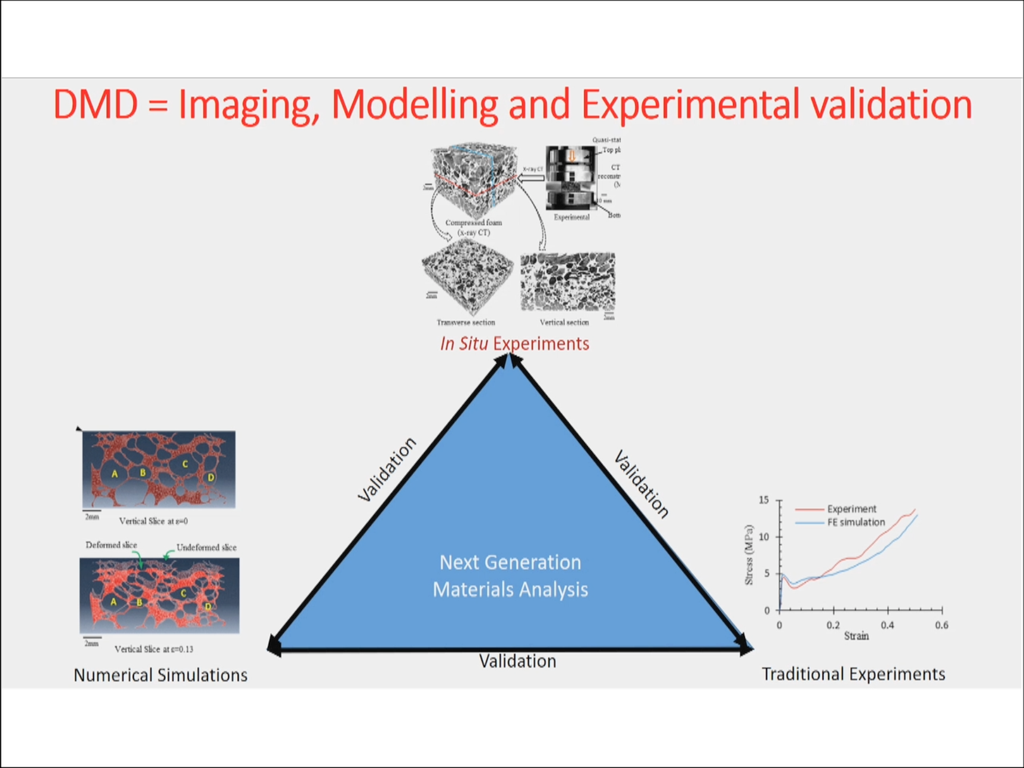 DMD = Imaging, Modelling and Experimental Validation
