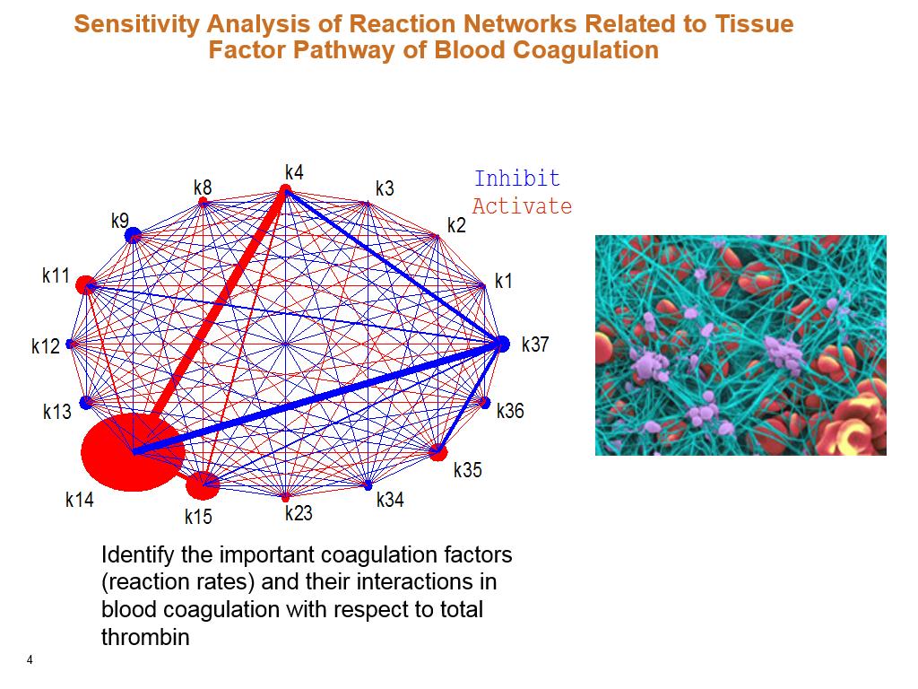 Sensitivity Analysis of Reaction Networks