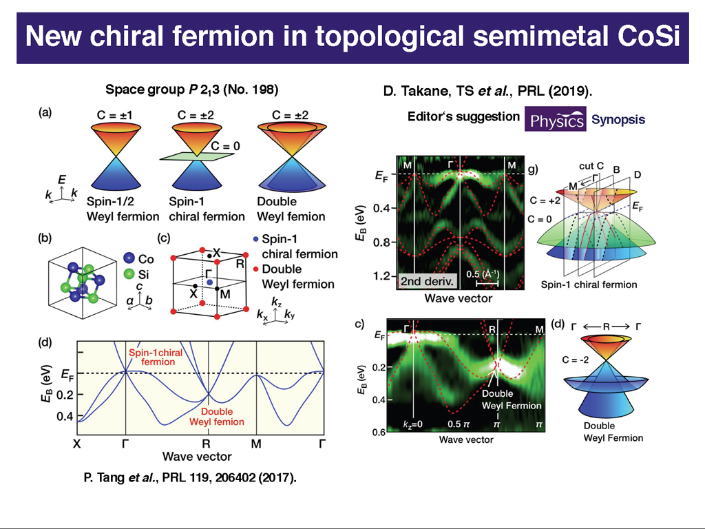 New chiral fermion in topological semimetal CoSi