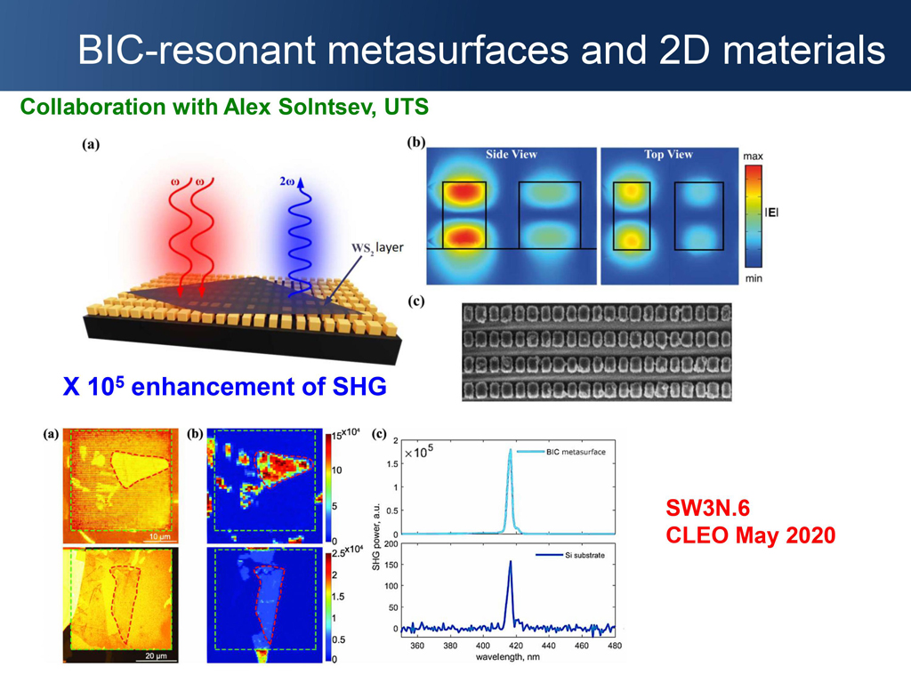 BIC-resonant metasurfaces and 2D materials Collaboration with Alex Solntsev, UTS