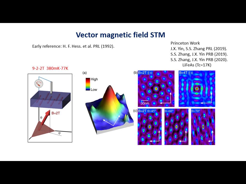Vector magnetic field STM