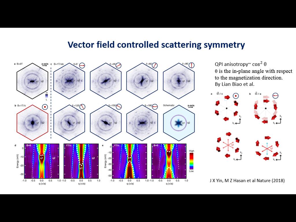 Vector field controlled scattering symmetry