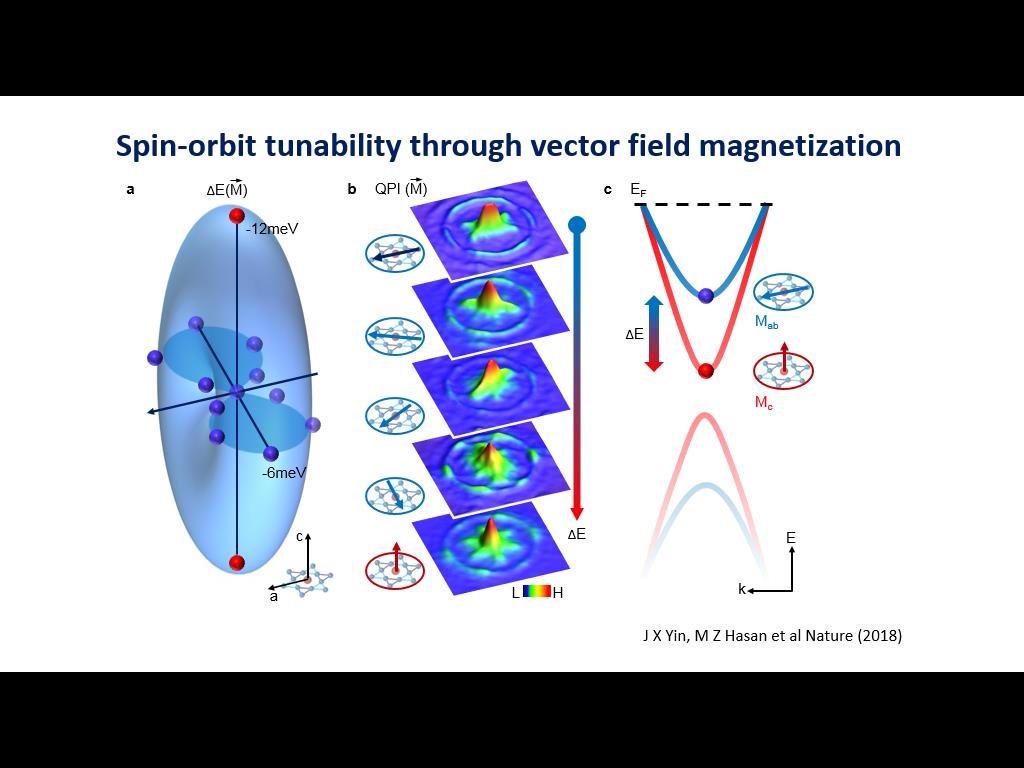 Spin-orbit tunability through vector field magnetization