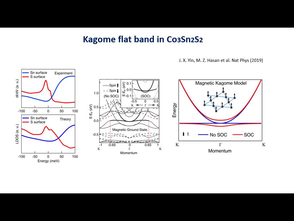 Kagome flat band in Co3Sn2S2