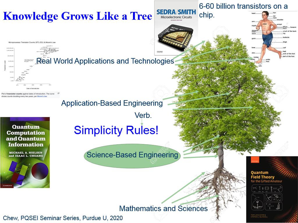 Knowledge Grows Like a Tree