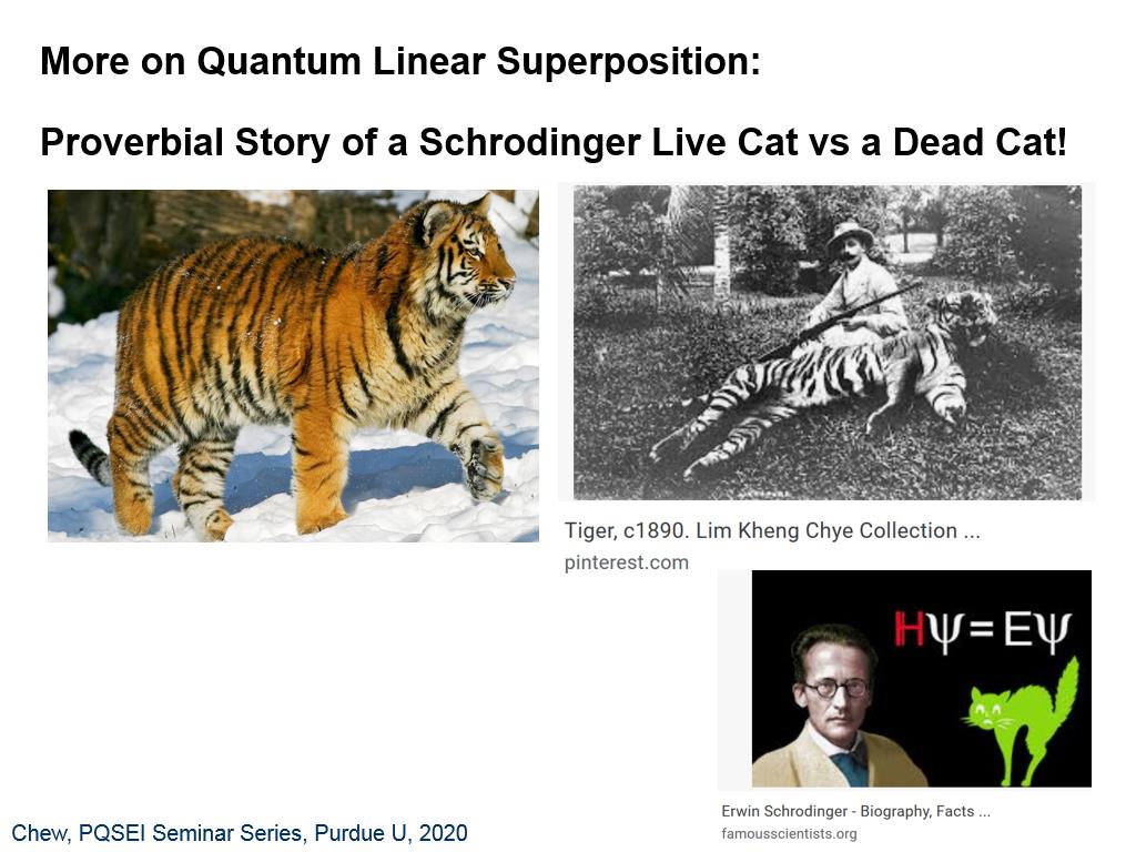 More on Quantum Linear Superposition