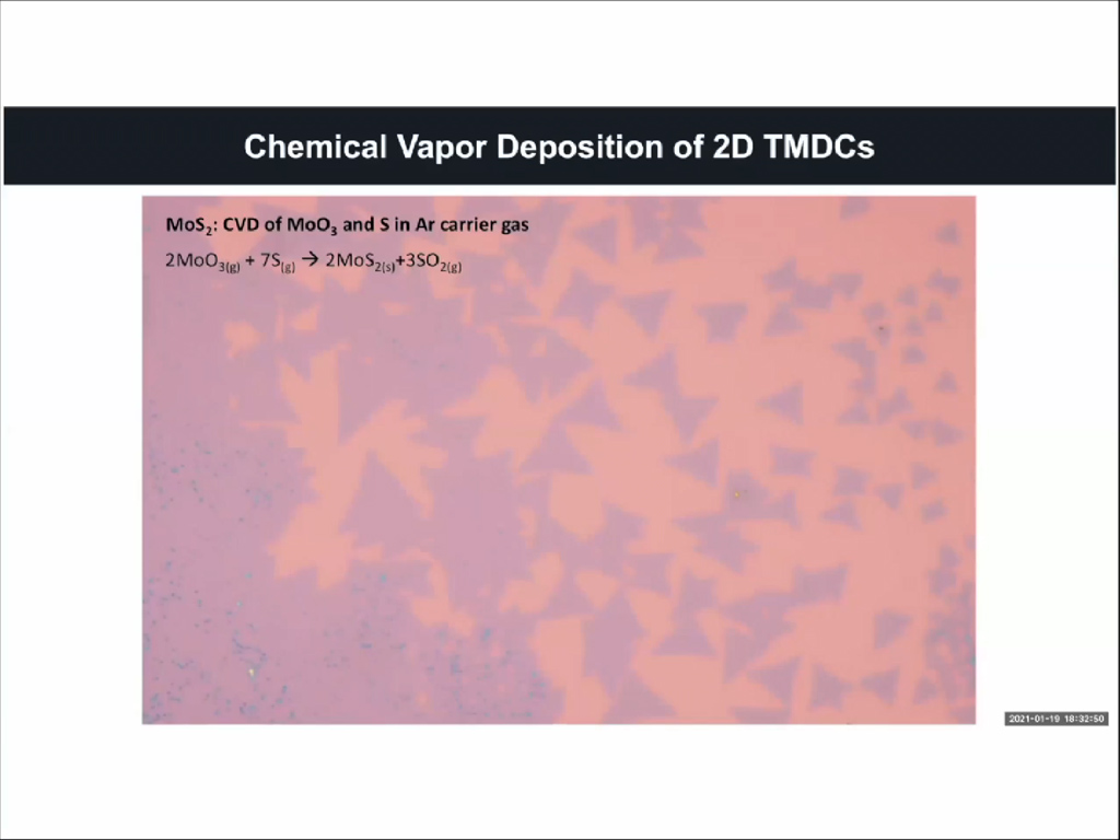 Chemical Vapor Deposition of 2D TMDCs
